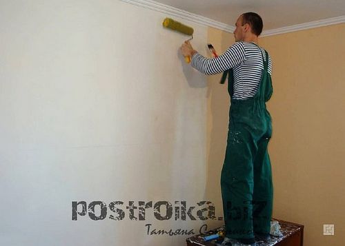 Красивые обои, простая покраска стен – какая отделка предпочтительнее?