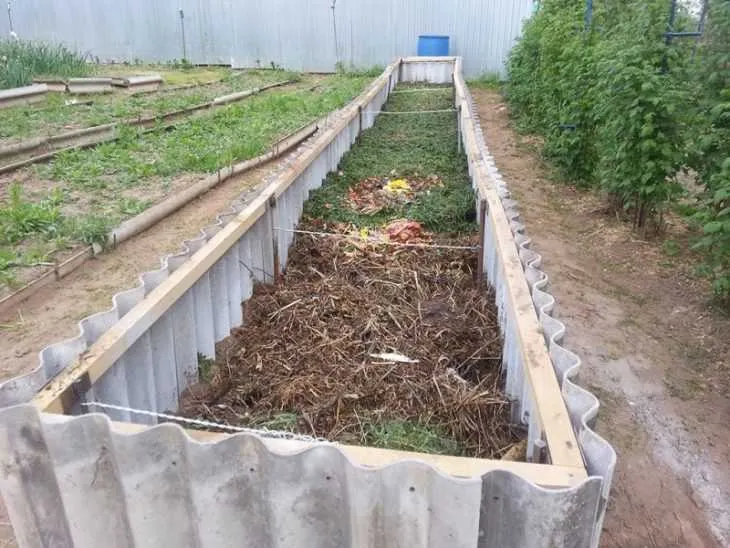 Грядки для огурцов - как сделать, нюансы выращивания и секреты обработки огурцов в открытом грунте (135 фото)