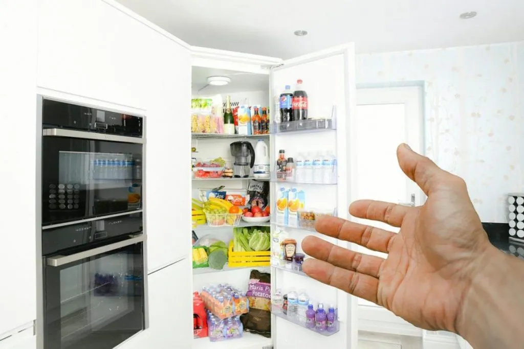 Что делать и как избавиться, если тараканы живут в холодильнике – пошаговая инструкция, как вывести насекомых из бытовой техники. Профилактика паразитов
