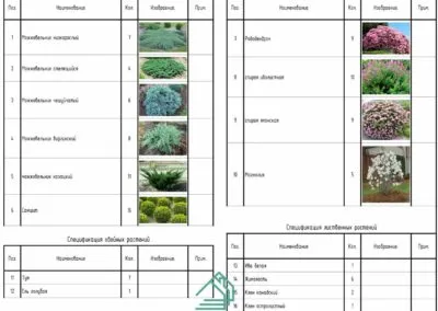 Спецификация кустов с фотографиями как выглядит растение