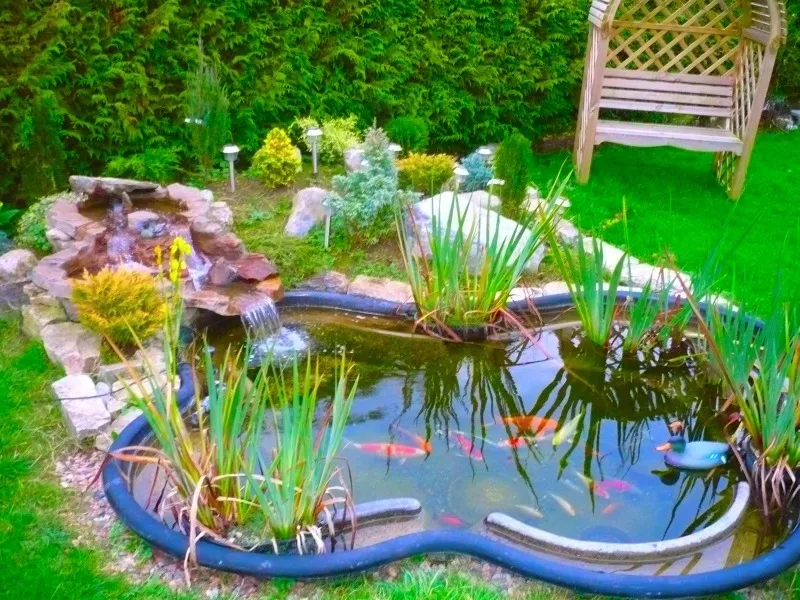 Дизайн садового пруда