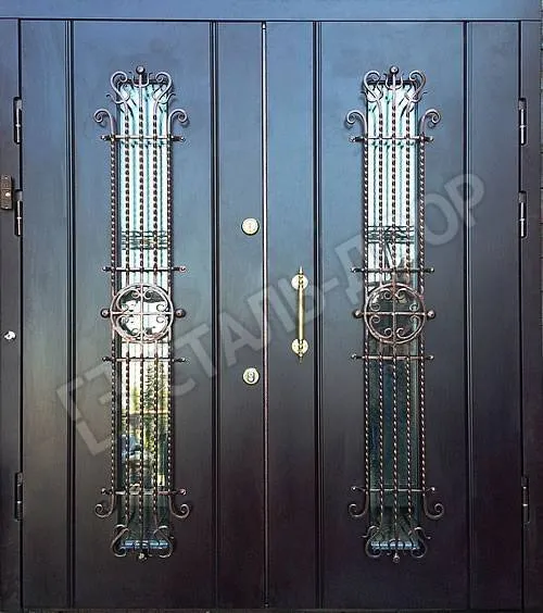 Наружная дверь с порошковым окрасом MTD-2496