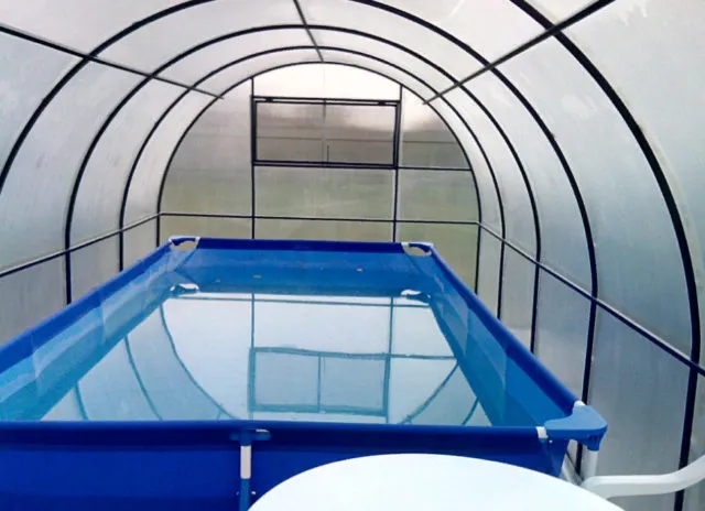 Бассейн в теплице из поликарбоната: фото, пошаговая инструкция + отзывы