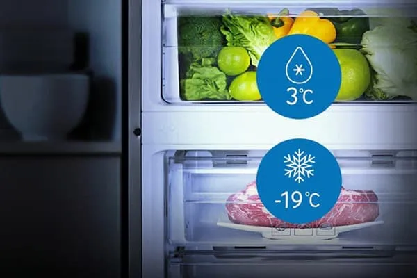 Разница температур в холодильнике и морозилке