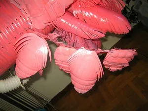 Фламинго оперение фото