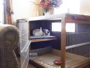 Клетка с кроликами в квартире