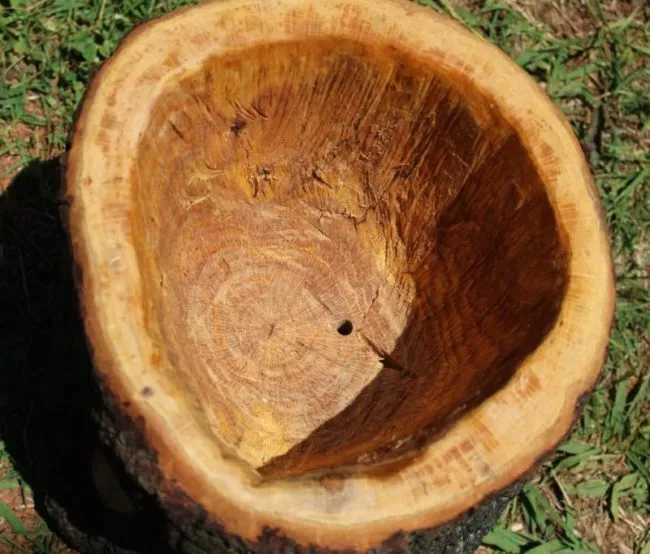 Внутренние поверхности вазона из спила дерева для посадки петунии