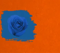 Оранжево-синяя картинка