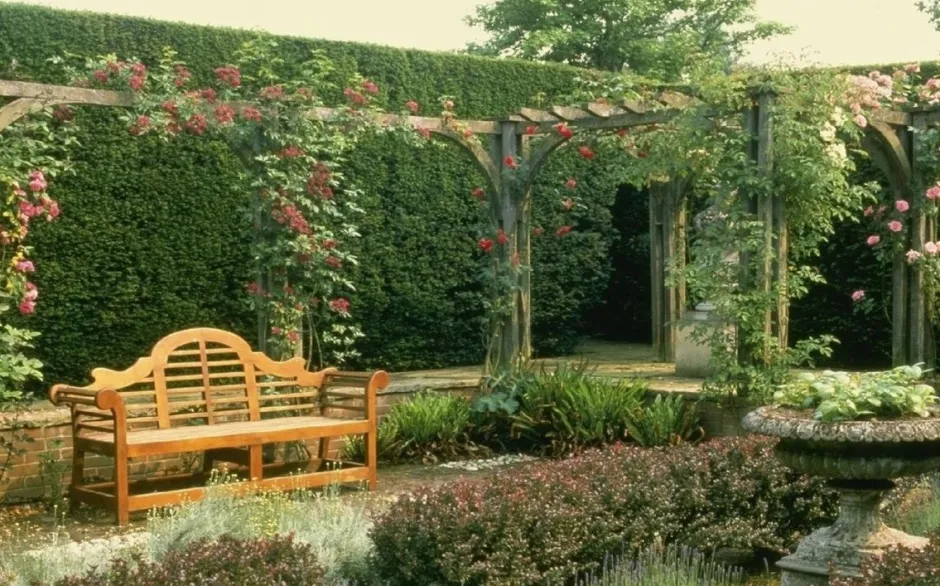 Пергола для винограда в английском саду