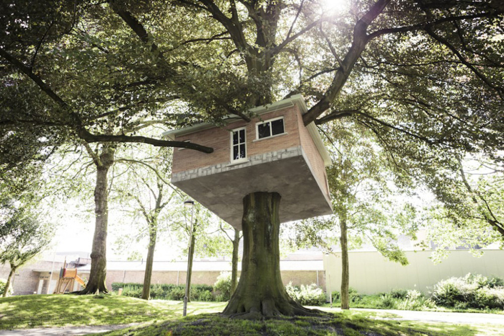 Дома на деревьях: 10 удивительных