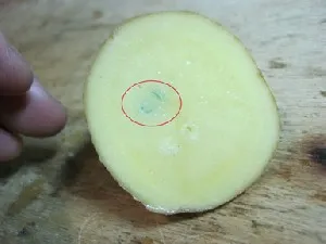Проверяем полярность проводов на картофеле
