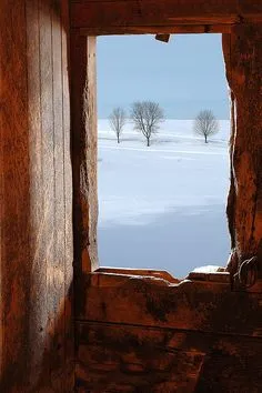 Stable View, taken from inside a 19th century stable along Route 7 in Wallingford, Vermont Open Window, Snow Scenes, Winter Scenes, Windows And Doors, Ventana Windows, Looking Out The Window