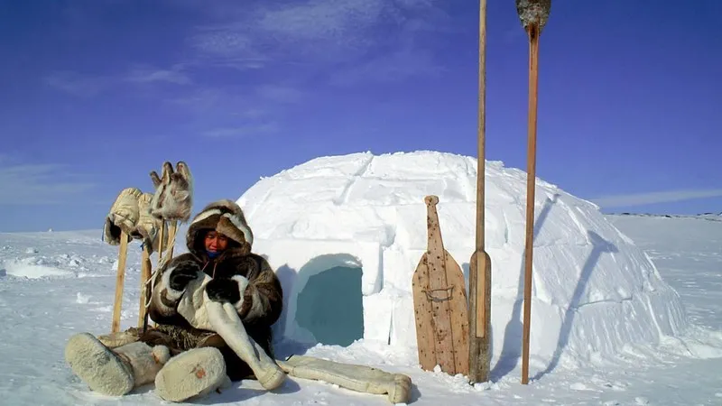 У эскимосов хорошо развиты навыки выживания в суровых климатических условиях