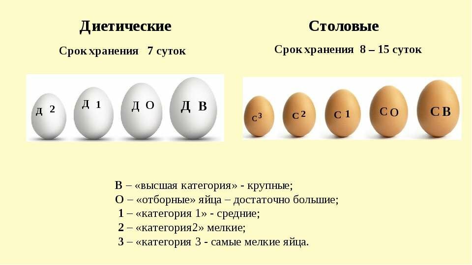СВ, СО, С1, С2, С3, Д 一 маркировка яиц
