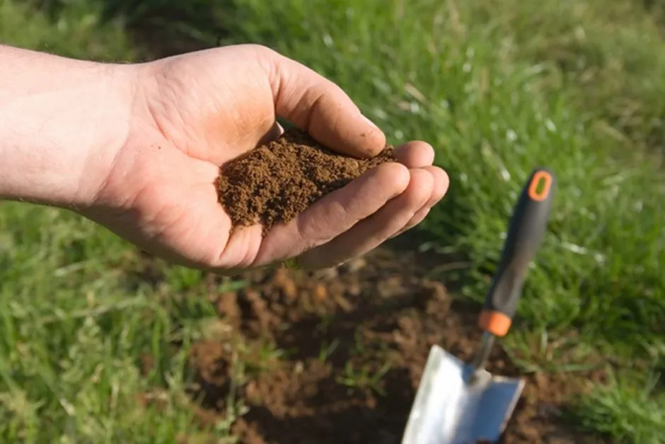 як визначити тип ґрунту самостійно
