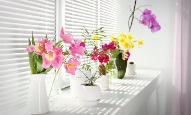 Свет для цветущих растений