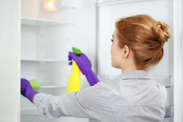 Бытовая химия для холодильника
