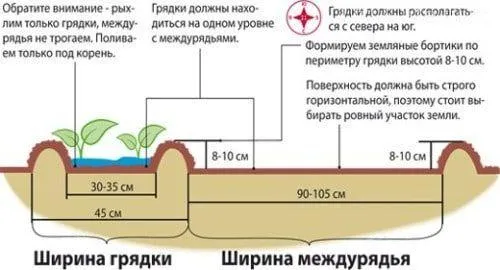 Чертеж теплицы по Митлайдеру из профильной трубы. Теплица по Митлайдеру своими руками