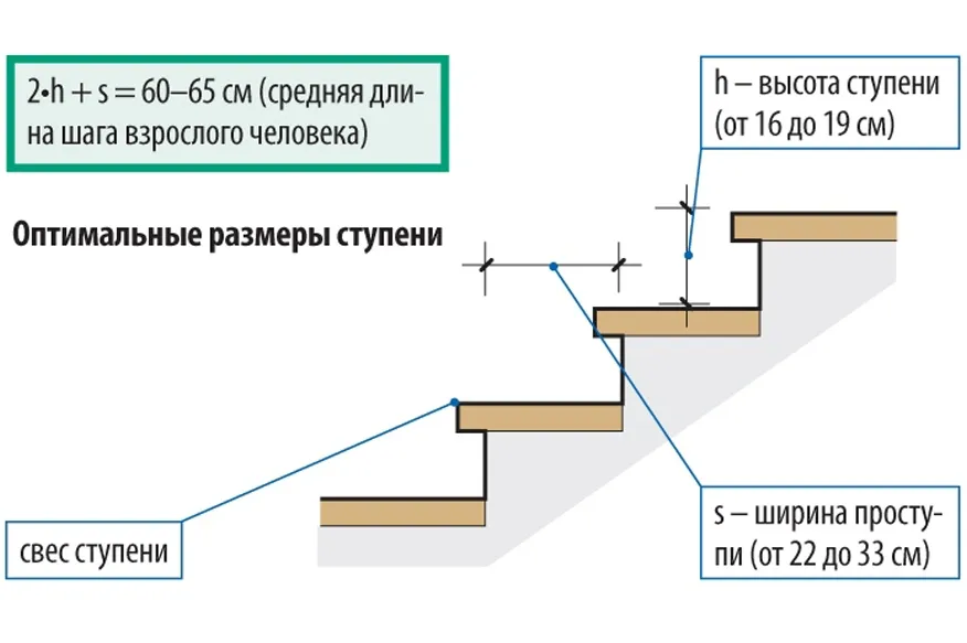 Размеры ступеней лестницы в подвал