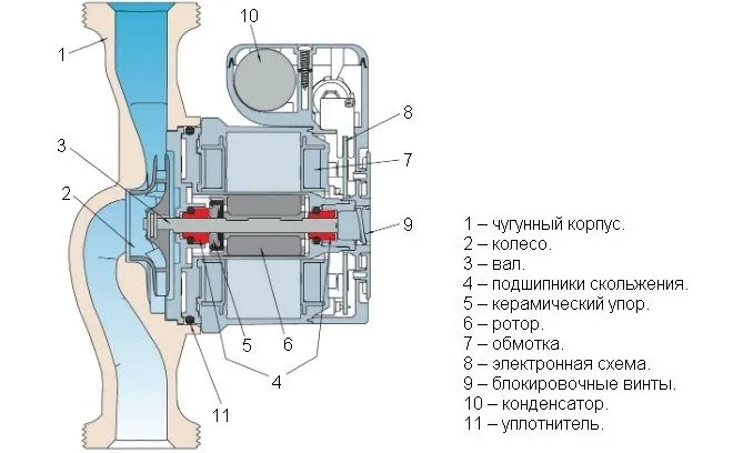 Конструкция циркуляционного насоса