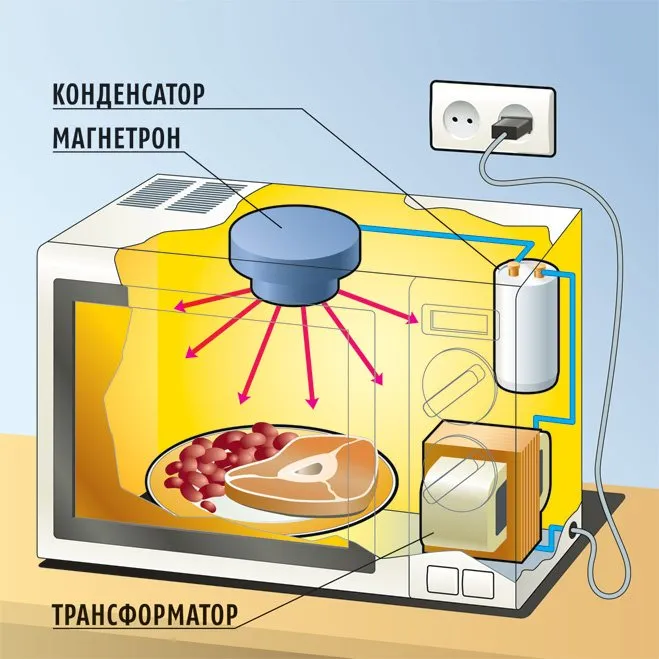 Схема строения и работы СВЧ