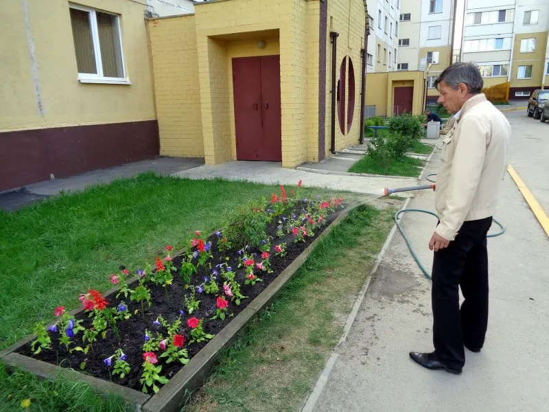 Клумбы во дворе многоквартирного дома своими руками