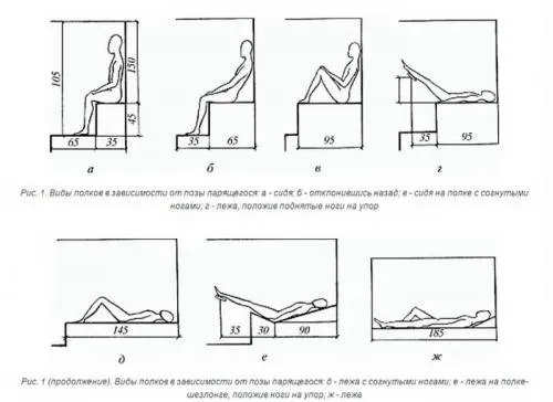 Оптимальные размеры полков в бане. Содержание статьи