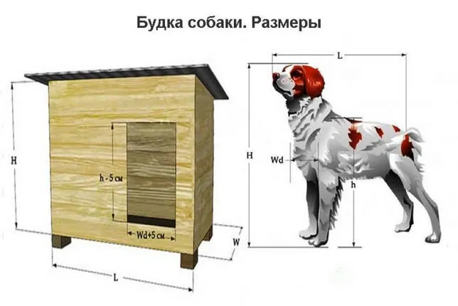 Будка для собаки (53 фото): требуемые материалы и красивые дизайны