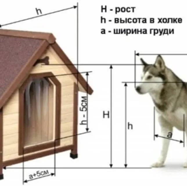 Будка для собаки (53 фото): требуемые материалы и красивые дизайны