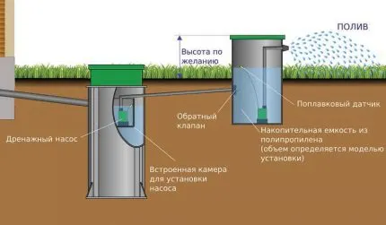 Использование очищенной воды в поливе