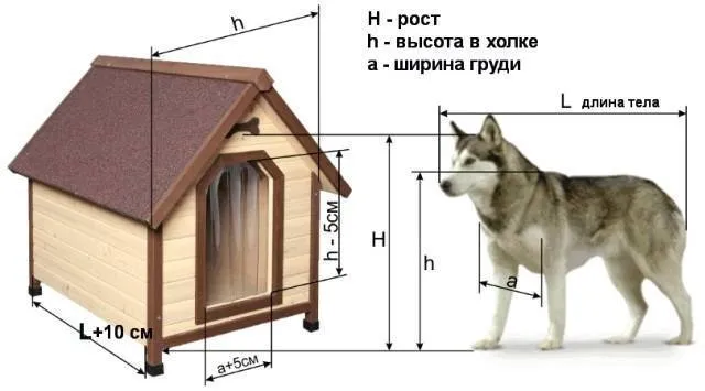 Вольер для немецкой овчарки: как сделать своими руками