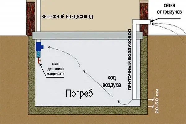 Проект погреба под гаражом