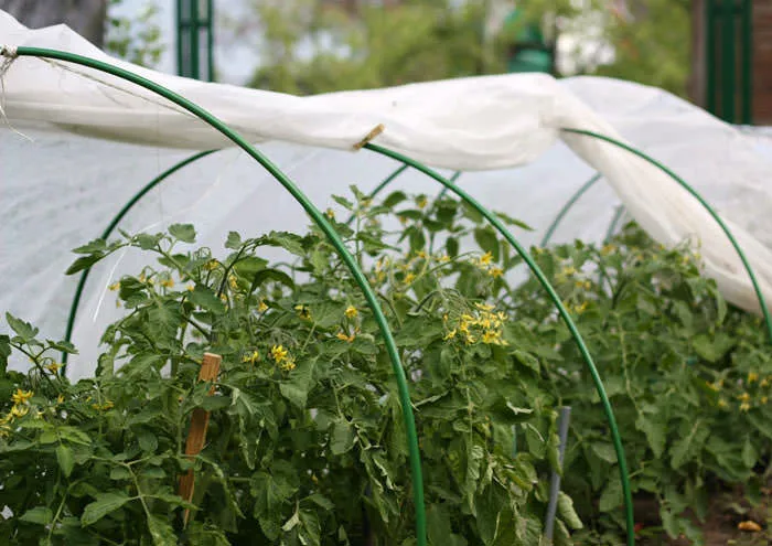 Сооружение из дуг выполнить своими руками очень просто. Понадобятся дуги из трубы и пленка из полиэтилена