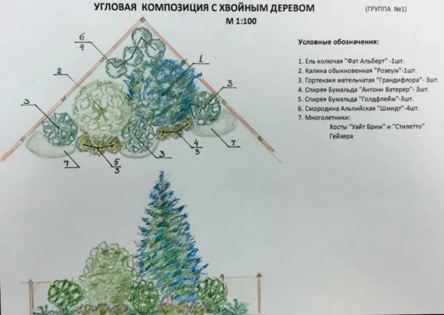 Миксбордер из хвойных и кустарников: готовые схемы + изумительные идеи с фото