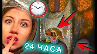 НОЧЬ В ДОМЕ ИЗ ПЛЕНКИ НА ДЕРЕВЕ 24 ЧАСА ЧЕЛЛЕНДЖ | Elli Di