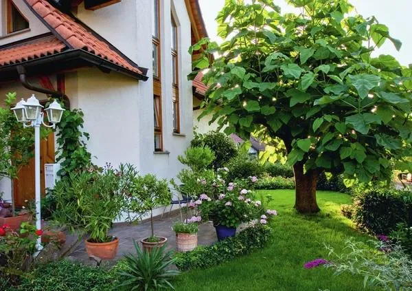 Павловния войлочная (Paulownia tomentosa) с крупными листьями великолепно притенит любое место отдыха. Для хорошего роста ей необходимо солнечное место