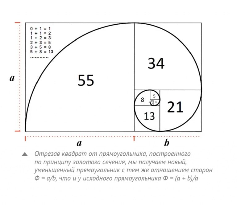 Числа Фибоначчи: что, как и почему