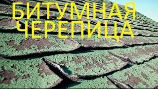 Битумная черепица гниет бумага / мягкая кровля / черепица гибкая / черепица листовая