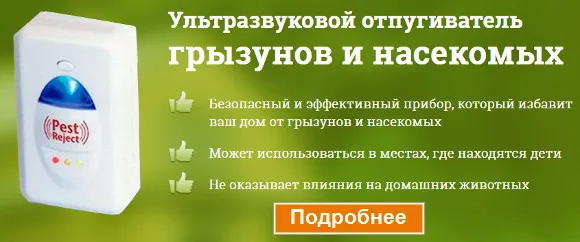 Маленькие черные жучки в квартире - banner-other