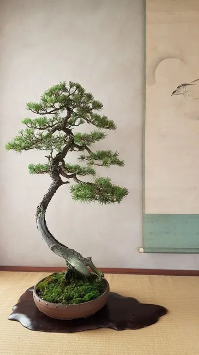 bonsai - wabi sabi