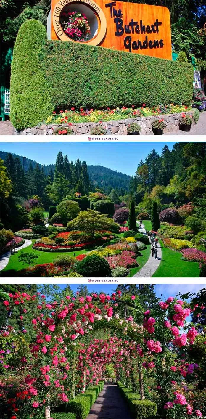 Butchart Gardens