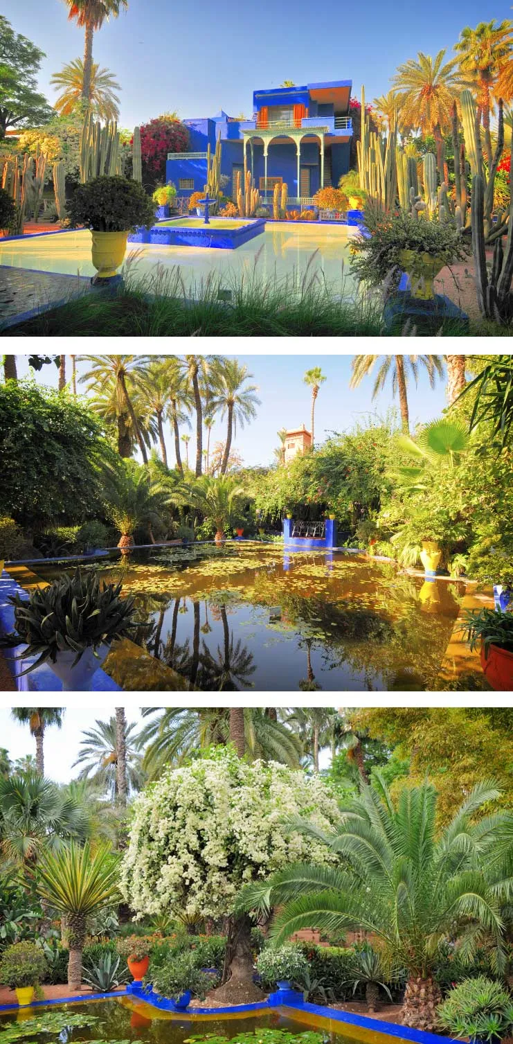 Jardin Majorelle