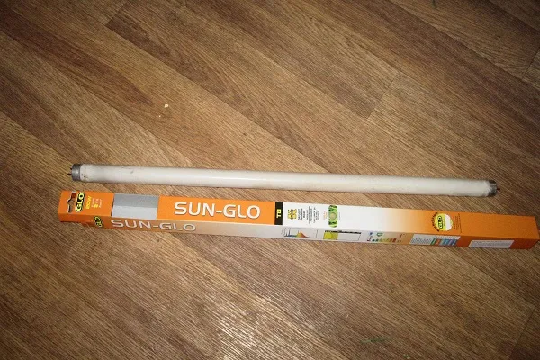 Hagen Sun Glo