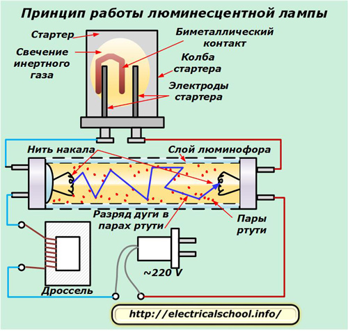 Как устроены и работают