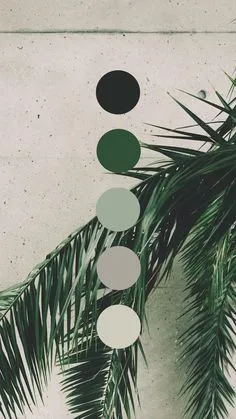 Brand color palette inspiration designed by Amari Creative, branding and design studio. #PalettesThatPop Green colors. Brand Color Palette, Colour Pallette, Colour Schemes, Color Palette Green, Color Inspo, Color Inspiration, Corporate Identity Design, Grafik Design, Art Design