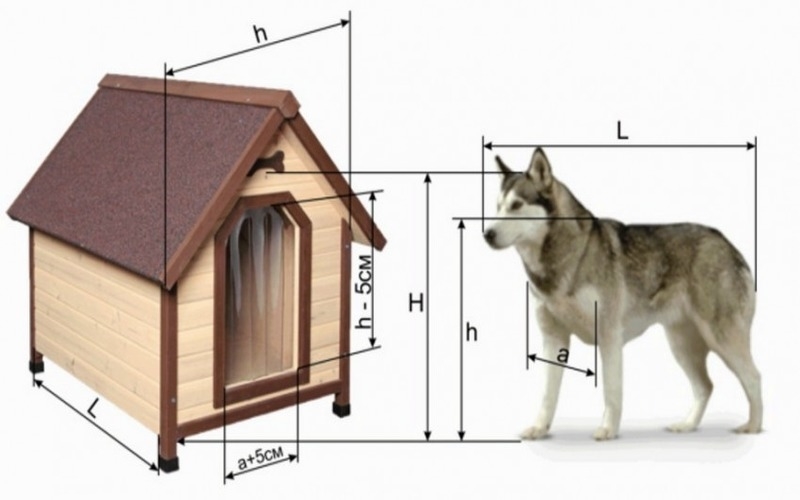 Будка для собаки своими руками: чертежи
