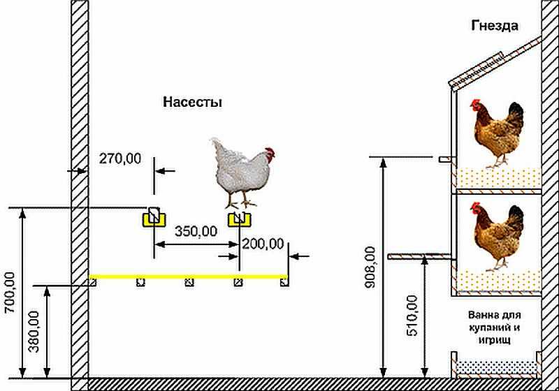 Обустройство курятника своими руками