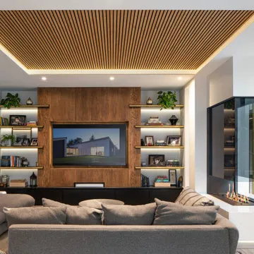 Contemporary Living Room