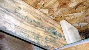 Как сделать деревянные грядки на даче своими руками: фото, какие лучше доски и как построить