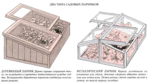 2 типа парника